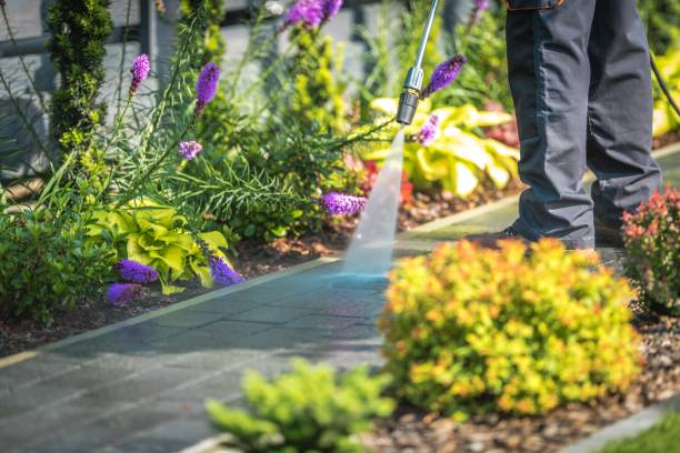 Professional Pressure Washing Services in Alpine, CA